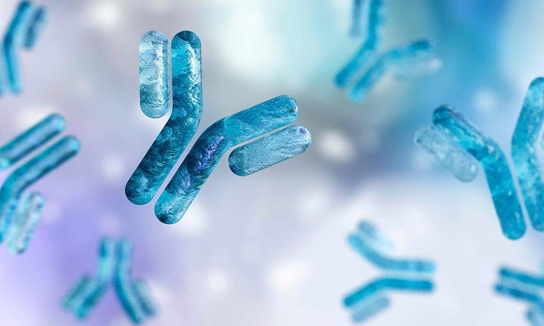 Anticorpos monoclonais para tratamento de enxaqueca